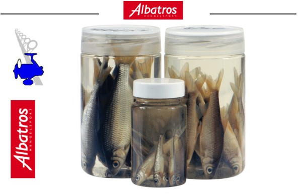 Albatros Tote Köderfische im Glas - Dead Baits - versch. Größen