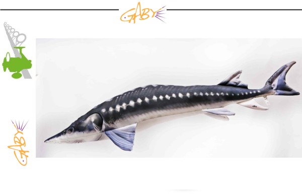 GABY DER EUROPÄISCHE STÖR - Giganto Stör 200cm
