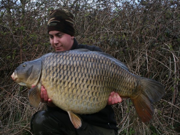 Korda Mixa B - Barbless versch. Gr.