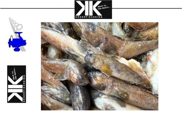 Köderfische Dead Bait - Grundeln 8-15cm 5 Stück