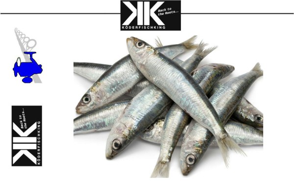 Köderfische Dead Bait - Sardinen 15-25cm 3 Stück / Beutel