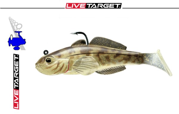Live Target Goby/Goby - Grundel # 605 Natural