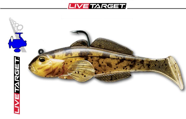 Live Target Goby/Goby - Grundel # 606 Natural Gold