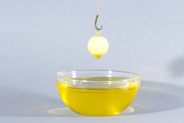 Best Baits Boilie Dip Tigernut 100ml