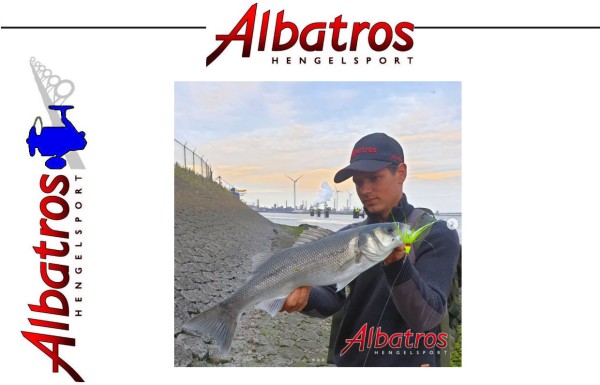 Albatros Bucktail Jig Weedless! - UV Pink/White