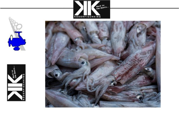 Köderfische Dead Bait - Tintenfische 15-25cm 500g / Beutel