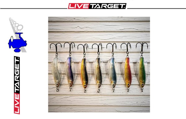 Live Target Erratic Shiner - Casting Spoon - 50mm - 7g