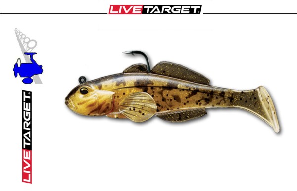 Live Target Goby/Goby - Grundel # 601 Natural / Bronze